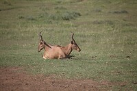 IMG_9855