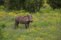 IMG_9903