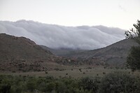 IMG_9977