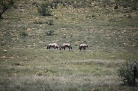 IMG_9993