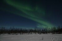 IMG_0218