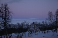 IMG_0343