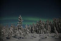 IMG_0455