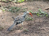 DSCN4338
