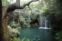 IMG_1298
