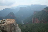 IMG_1329
