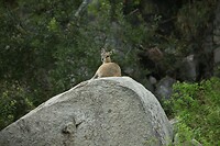 IMG_1413
