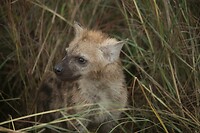 IMG_1419