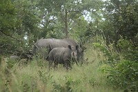 IMG_1420