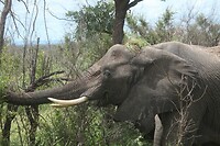 IMG_1481