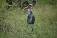 IMG_1505