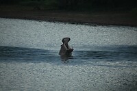 IMG_1532