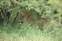 IMG_1545