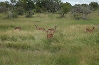 IMG_1547