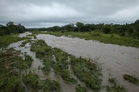 IMG_1549