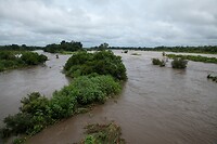 IMG_1553