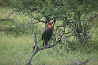 IMG_1576