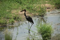 IMG_1603