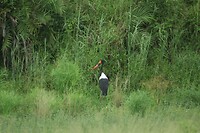 IMG_1624