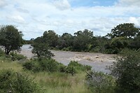 IMG_1673