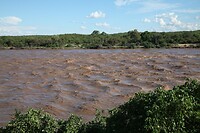 IMG_1709