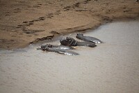 IMG_1724