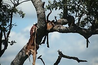 IMG_1762