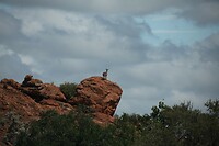 IMG_1764