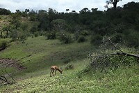 IMG_1771
