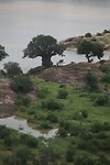 IMG_1804