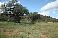 IMG_1820