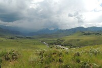 DSCN4039