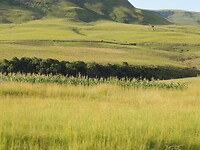DSCN4093