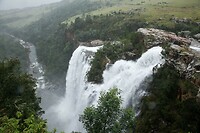 IMG_0608