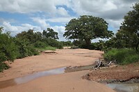 IMG_0683