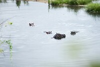 IMG_0689