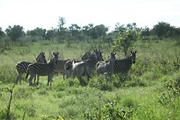 IMG_0714