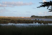 IMG_1005