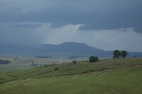 IMG_1046