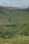 IMG_1068