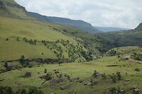 IMG_1079