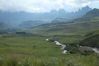 IMG_1103