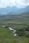 IMG_1104