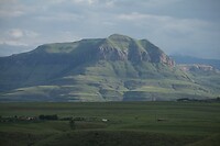 IMG_1118
