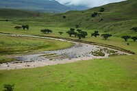 IMG_1123