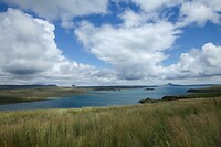 IMG_1132