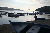 IMG_5799