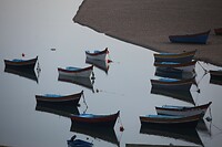 IMG_5807