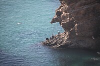 IMG_5855