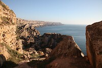 IMG_5869